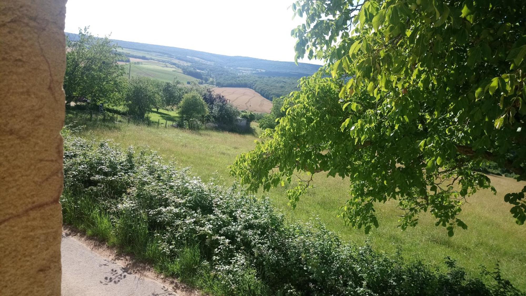 Une Maison De Campagne En Bourgogne Du Sud Турню Екстер'єр фото
